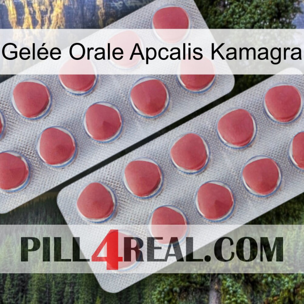 Gelée Orale Apcalis Kamagra 19.jpg